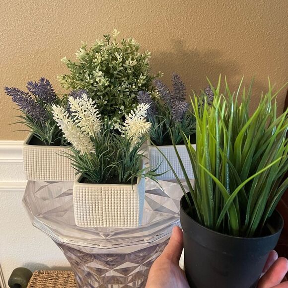 Faux Plants Lot of 5 Lavender in Ceramic Square Pots - Picture 10 of 11